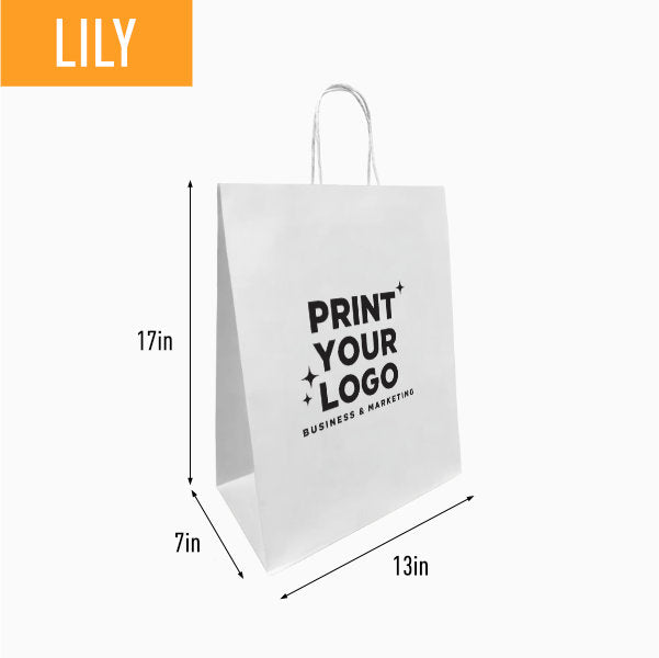 Large White Paper Bag with Screen Printing Logo |  Custom Retail Shopping Bag for Brands